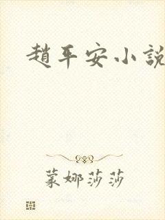 赵平安小说主角