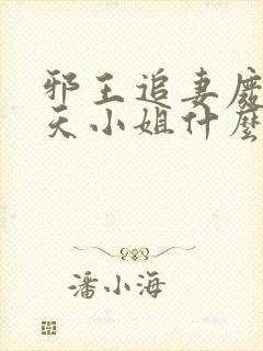 邪王追妻废材逆天小姐什么时候写的