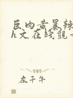 巨肉黄暴辣文高h文在线观看