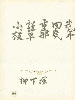 小说重回我爸当校草那几年