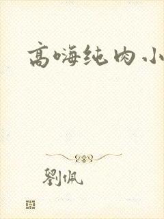 高嗨纯肉小说