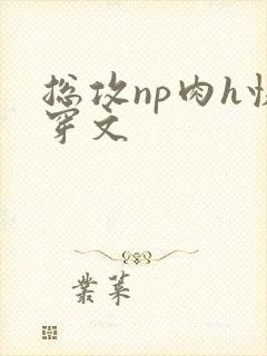 总攻np肉h快穿文封面