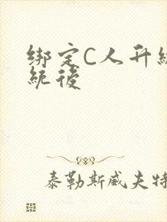 绑定C人升级系统后