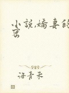 小说,娇妻的秘密封面