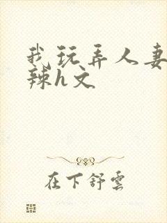 我玩弄人妻系列辣h文