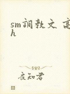 sm调教文 高h