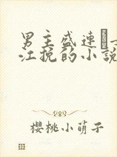 男主盛连玦女主江挽的小说封面