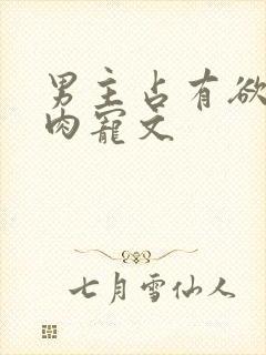 男主占有欲强的肉宠文