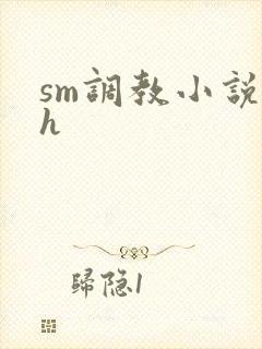 sm调教小说高h封面