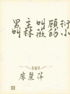 男主叫顾衍女主叫林薇的小说封面