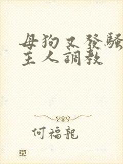 母狗又发骚了求主人调教