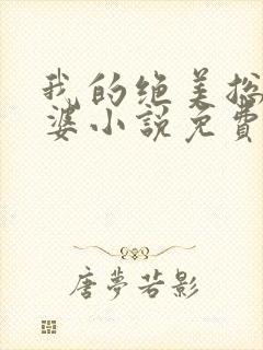 我的绝美总裁老婆小说免费