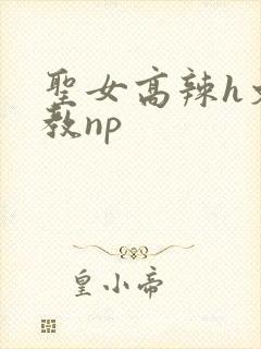 圣女高辣h文调教np