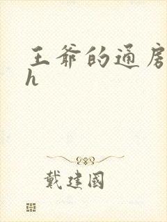 王爷的通房丫鬟h