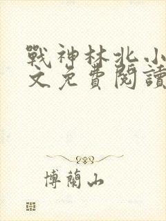 战神林北小说全文免费阅读