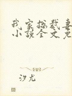 我家总裁妻管严小说全文免费阅读封面