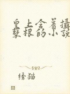 皇上含着摄政王孽根的小说封面