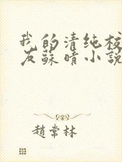 我的清纯校花女友苏晴小说最新章节