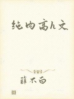 纯肉高h文