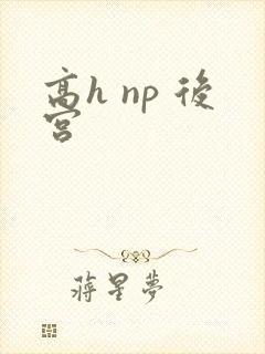 高h np 后宫