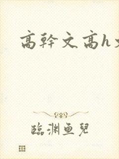 高干文高h文