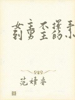 女主不择手段得到男主的小说