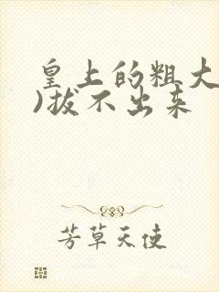 皇上的粗大(h)拔不出来