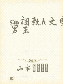 sm调教h文双男主封面