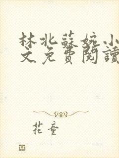 林北苏婉小说全文免费阅读无弹窗封面