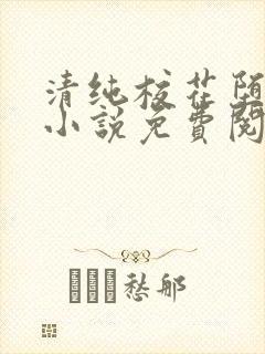 清纯校花堕落记小说免费阅读allimine