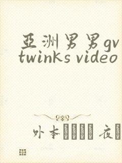 亚洲男男gv twinks video