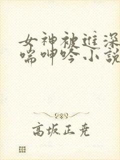 女神被进深处娇喘呻吟小说封面
