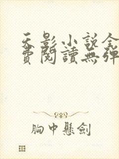 天影小说全文免费阅读无弹窗