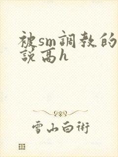 被sm调教的小说高h