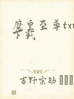魔皇至尊txt下载