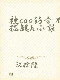 被cao的合不拢腿h小说