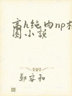 高h纯肉np校园小说封面