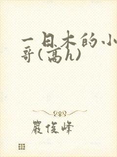 一日木的小说哥哥(高h)封面