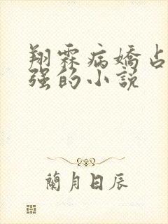 翔霖病娇占有欲强的小说封面