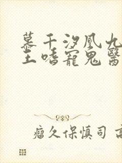 慕千汐凰九夜邪王嗜宠鬼医狂妃