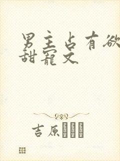 男主占有欲强的甜宠文