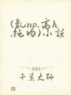 (乱np,高h,纯肉)小说