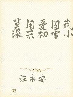 莫用爱囚我傅寒深宋初雪小说