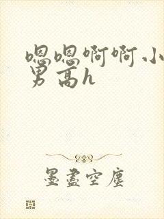 嗯嗯啊啊小说男男高h