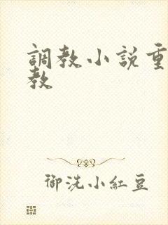 调教小说重口调教封面