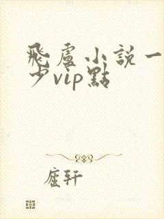 飞卢小说一章多少vip点