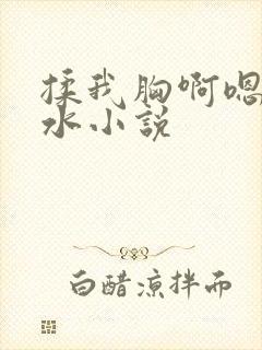 揉我胸啊嗯～出水小说