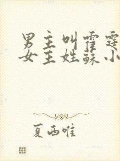 男主叫霍霆琛的女主姓苏小说