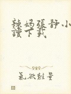 辣妈张静小说阅读下载