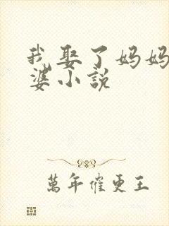 我娶了妈妈当老婆小说封面